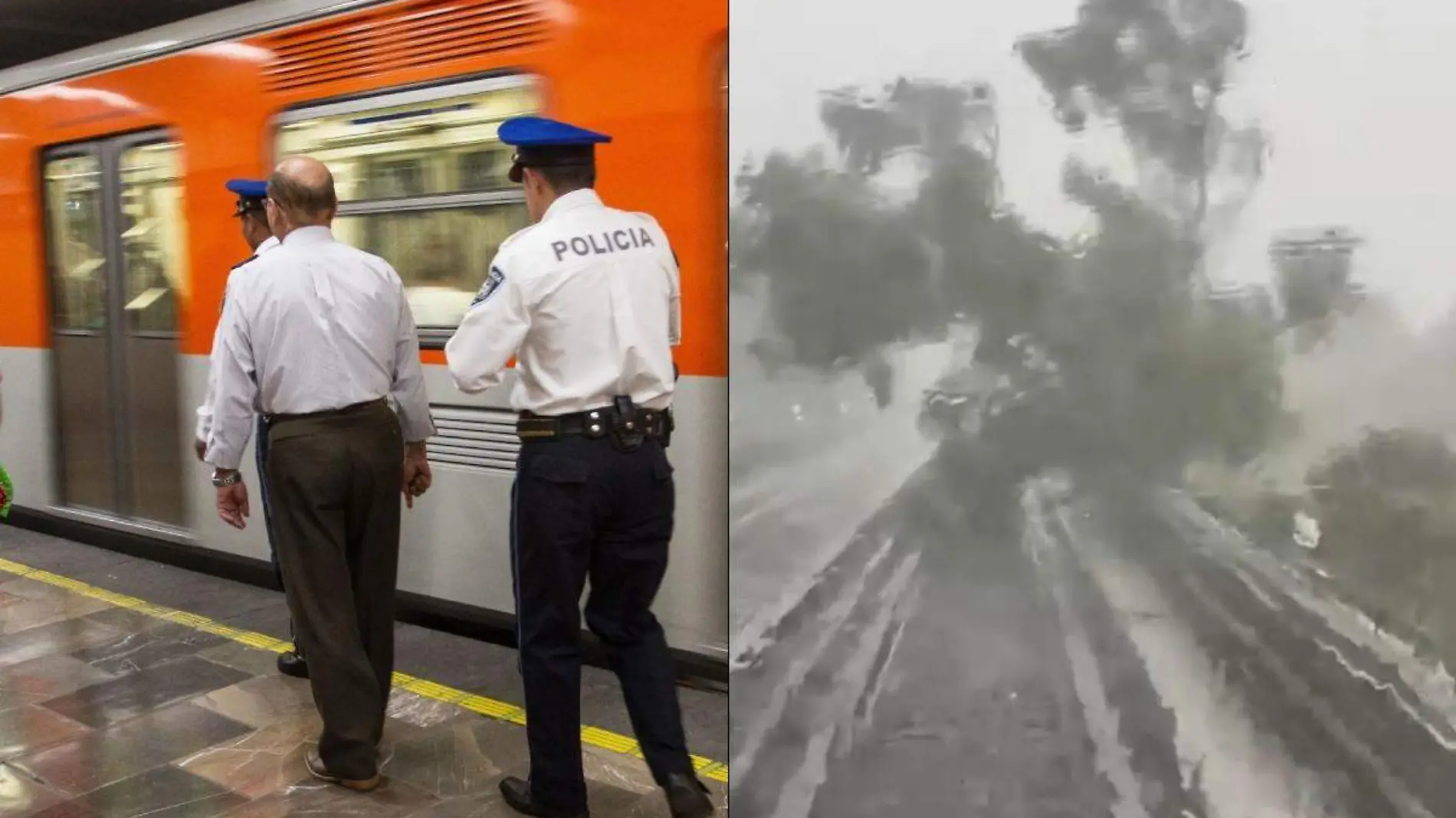 Árbol cae sobre las vías del tramo elevado de la Línea 4 de CDMX (1)